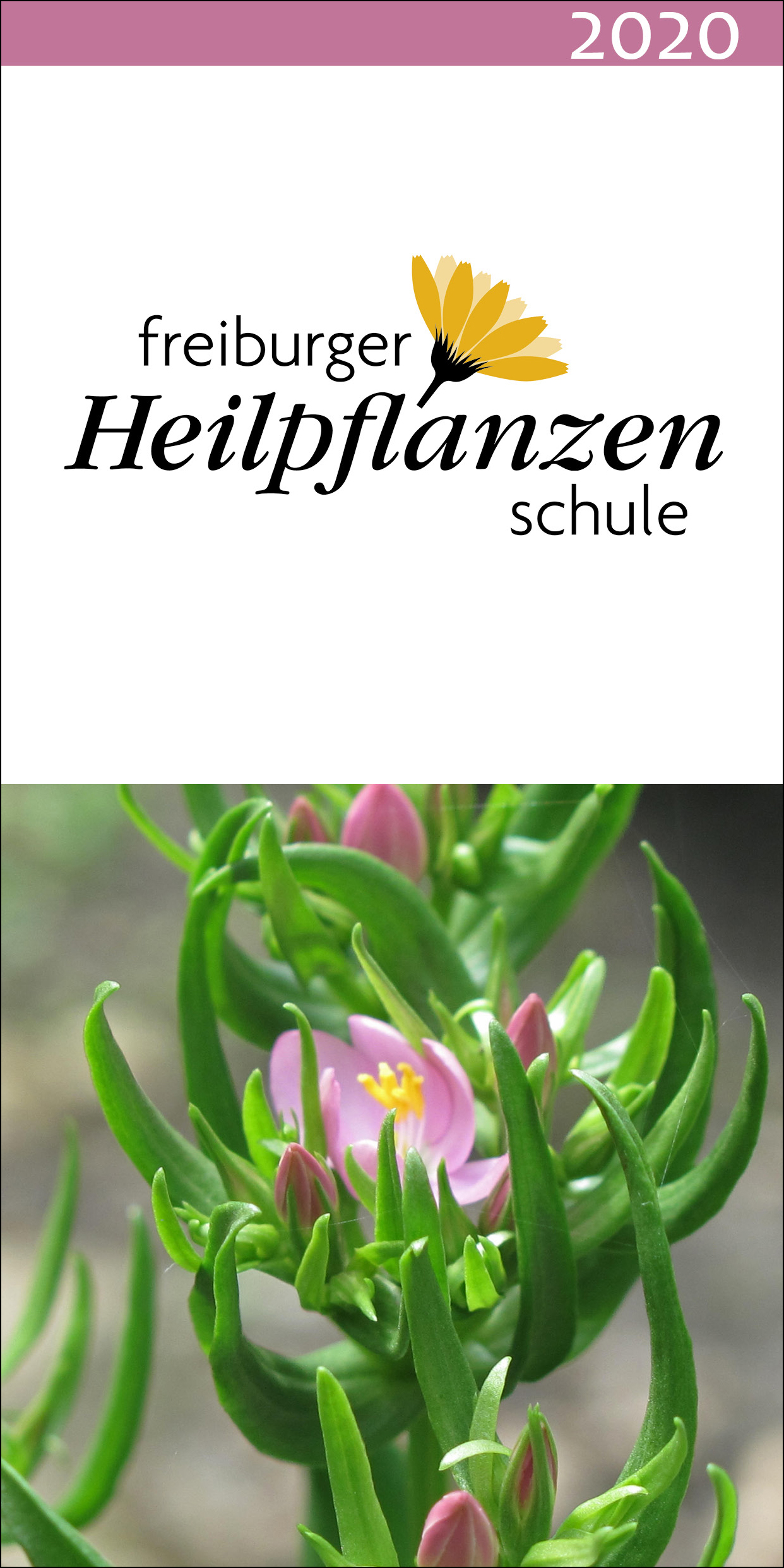 FHS 2020 Titel